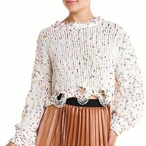 Wild Honey crochet crop confetti sweater